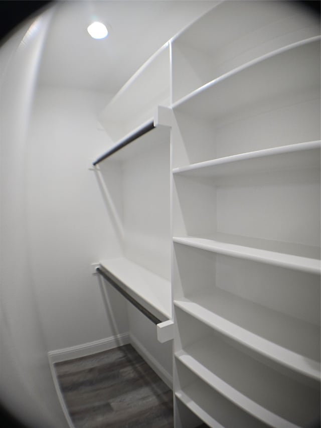 walk in closet featuring dark hardwood / wood-style flooring