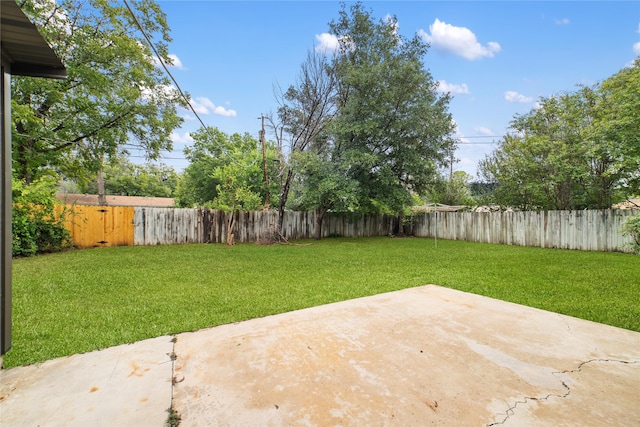 view of yard with a patio area