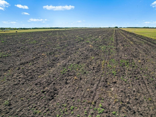 TRACT1 Fm-697 Hwy, Whitewright, TX 75491