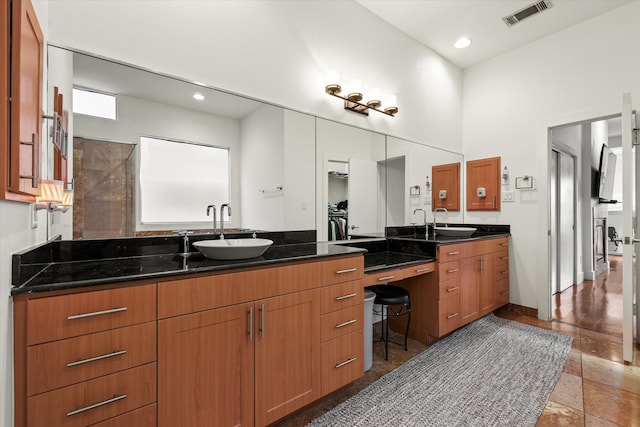 bathroom with vanity and a wealth of natural light