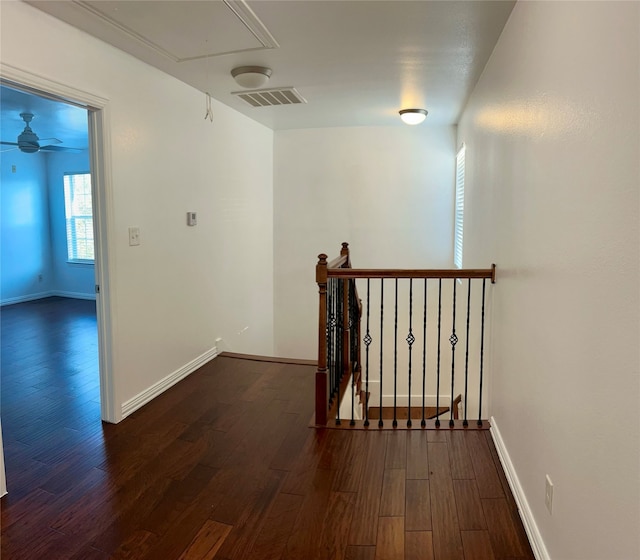 hallway with dark wood-type flooring