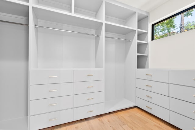 walk in closet with light hardwood / wood-style flooring