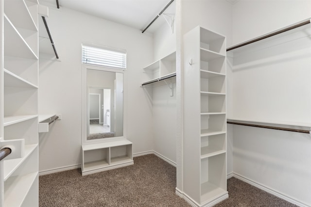 walk in closet with dark carpet