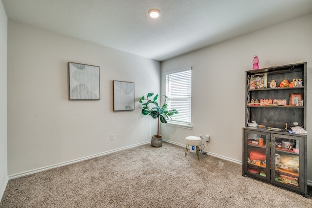 misc room with light colored carpet