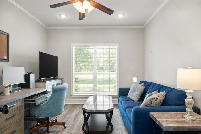 home office featuring ceiling fan, ornamental molding, and light hardwood / wood-style floors