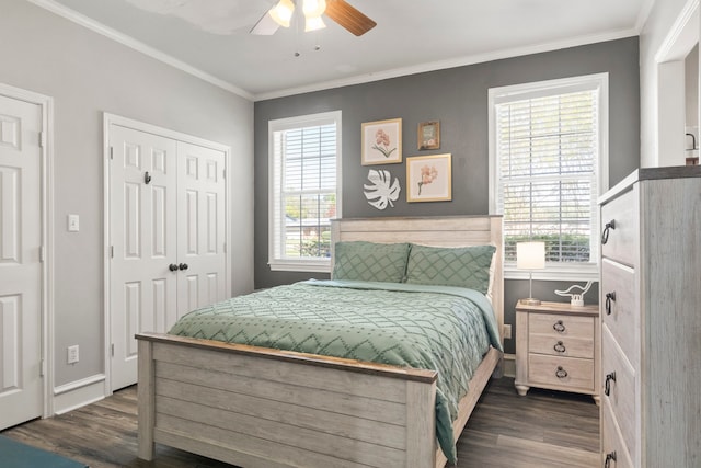 bedroom with multiple windows, ceiling fan, and dark wood-type flooring