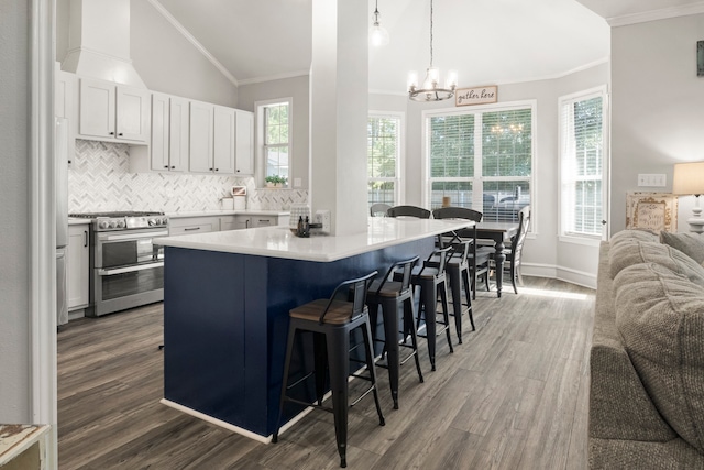 kitchen with white cabinets, a wealth of natural light, and stainless steel range oven