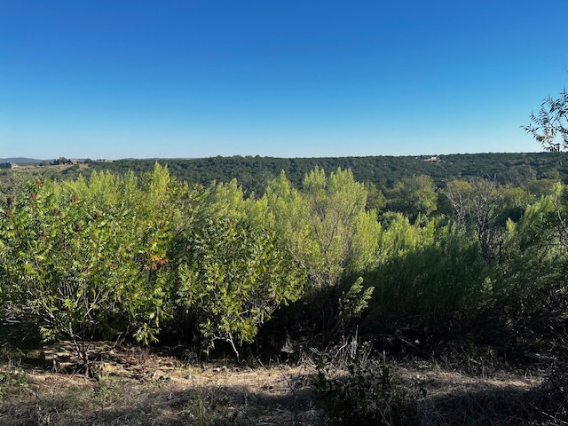 Listing photo 3 for LOT297 Shooting Star Ct, Possum Kingdom Lake TX 76449