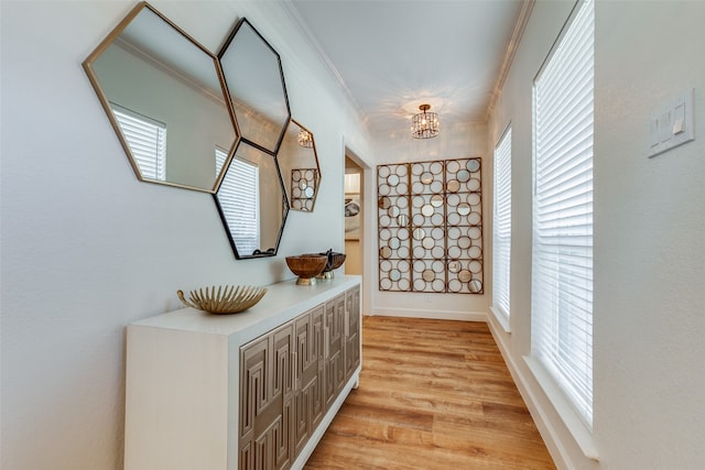 hall with ornamental molding, light wood-type flooring, and a healthy amount of sunlight