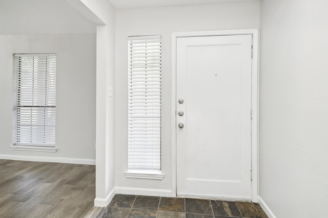 foyer with dark hardwood / wood-style flooring and a wealth of natural light