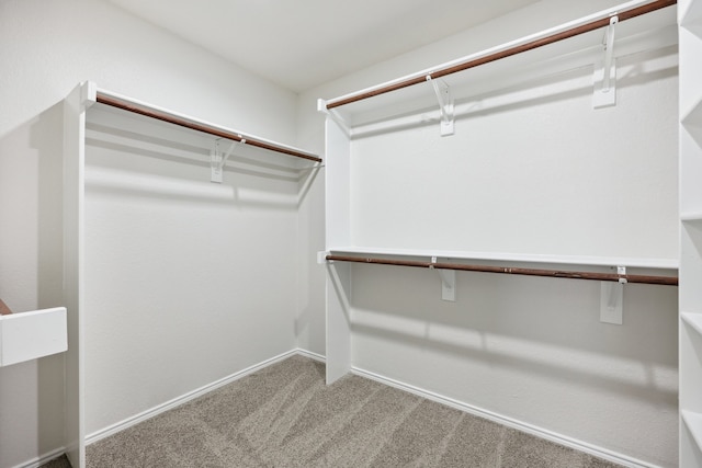 walk in closet featuring carpet floors