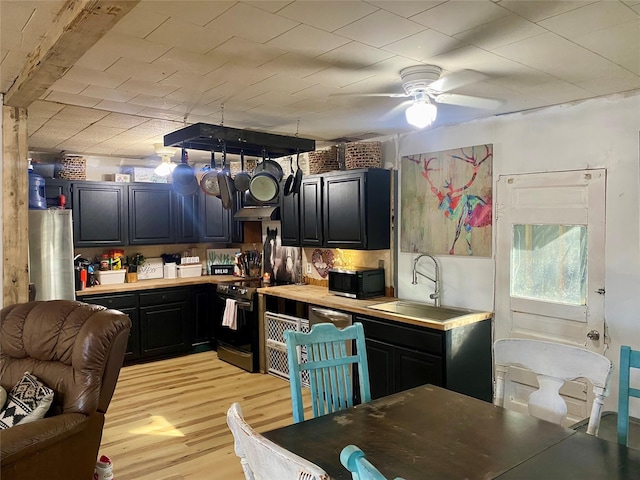 kitchen featuring ceiling fan, appliances with stainless steel finishes, sink, and light hardwood / wood-style flooring