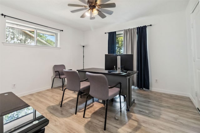 office space featuring light wood-type flooring, a wealth of natural light, and ceiling fan