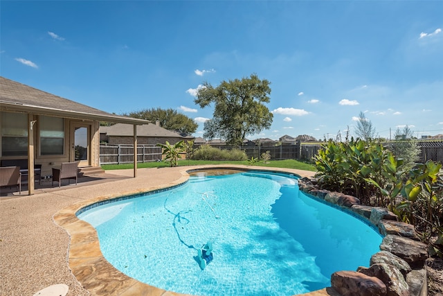 view of pool featuring a patio