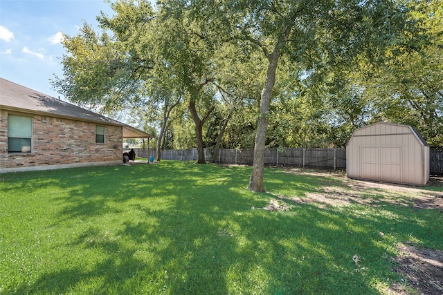 view of yard with a storage shed