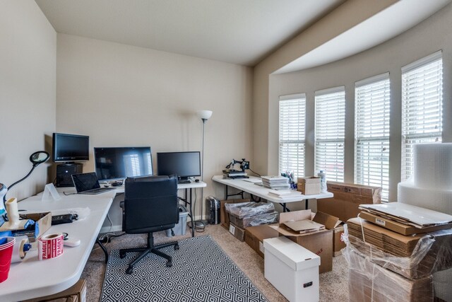 office space featuring light colored carpet