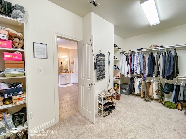 spacious closet with light colored carpet