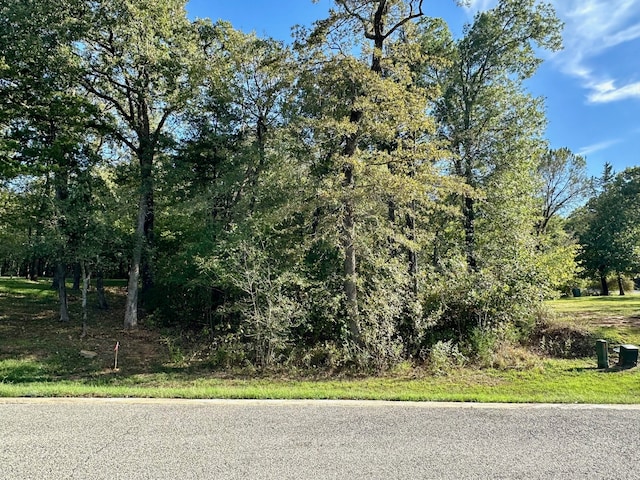 27A Annadale Ln, Gordonville TX, 76245 land for sale