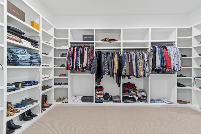 spacious closet with carpet