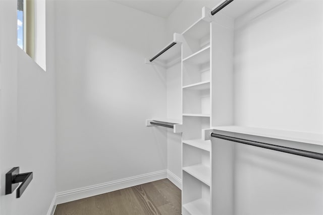 walk in closet featuring dark hardwood / wood-style floors