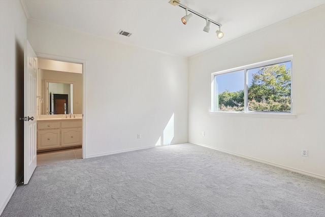 carpeted empty room with rail lighting, crown molding, and sink