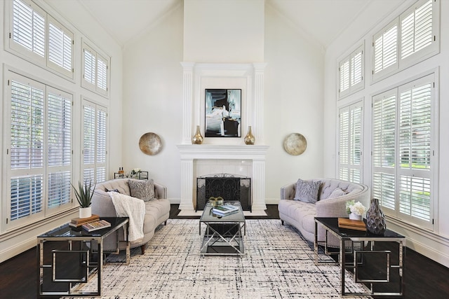 living room with wood-type flooring, high vaulted ceiling, and a wealth of natural light