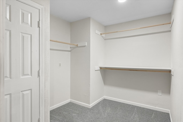 spacious closet with dark colored carpet