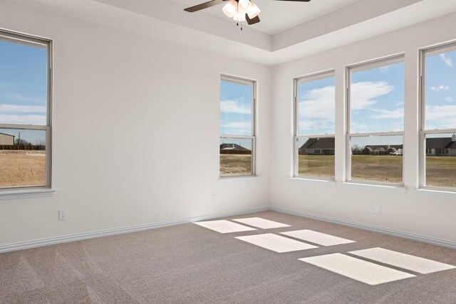 10 Louis Rd, Sherman, TX 75090 - spare room featuring carpet floors, a tray ceiling, a ceiling fan, and baseboards