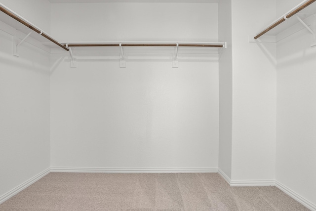 10 Louis Rd, Sherman, TX 75090 - spacious closet with carpet flooring