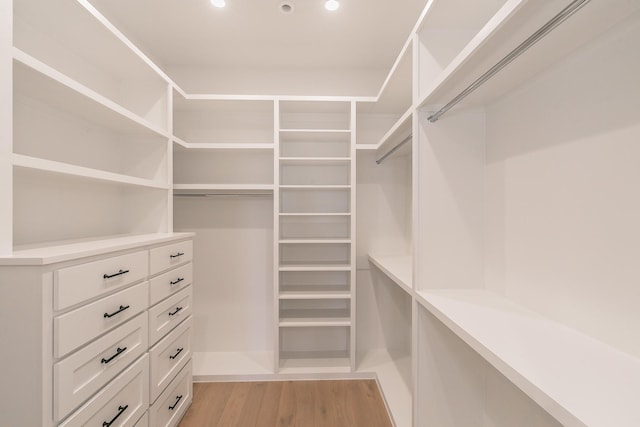 spacious closet featuring light wood finished floors