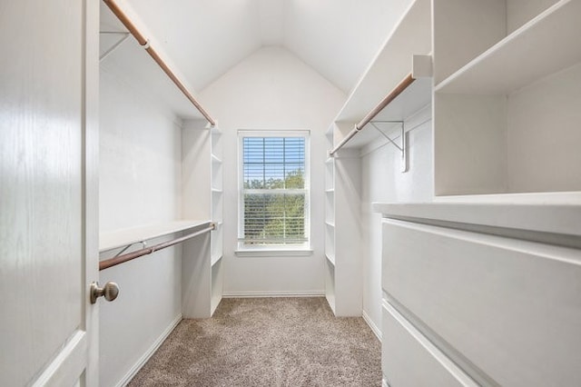 walk in closet featuring vaulted ceiling and light colored carpet