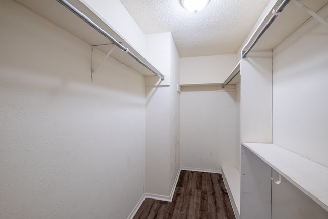 walk in closet with dark wood-type flooring