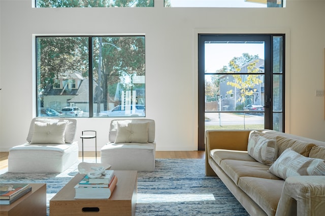 living room featuring hardwood / wood-style floors