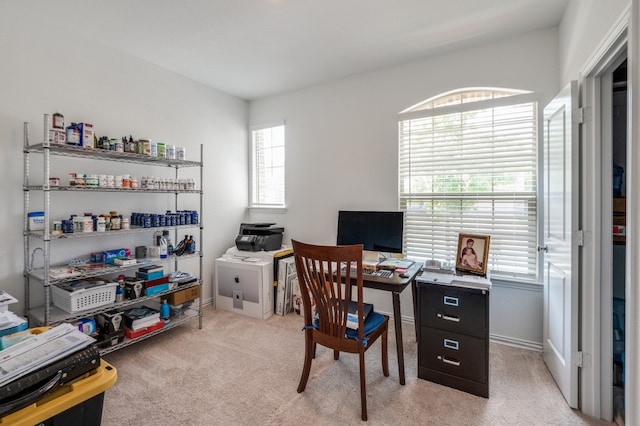 office area with light colored carpet