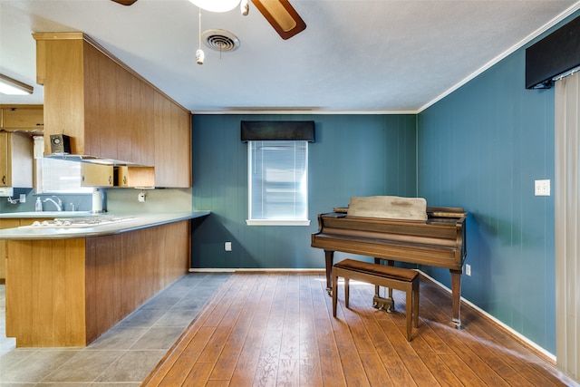 kitchen featuring light hardwood / wood-style floors, ornamental molding, ceiling fan, and kitchen peninsula