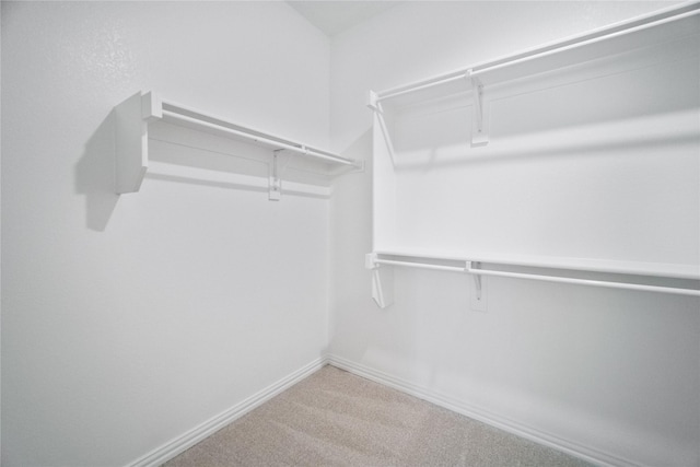 spacious closet with carpet flooring