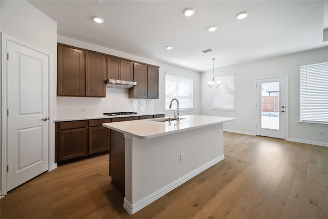 kitchen featuring tasteful backsplash, light wood-type flooring, a healthy amount of sunlight, and a sink