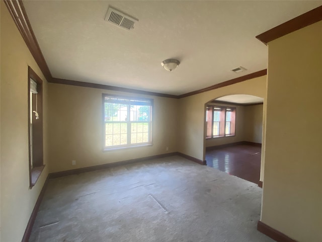 carpeted empty room with crown molding and plenty of natural light