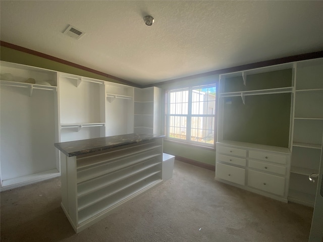 walk in closet featuring light carpet