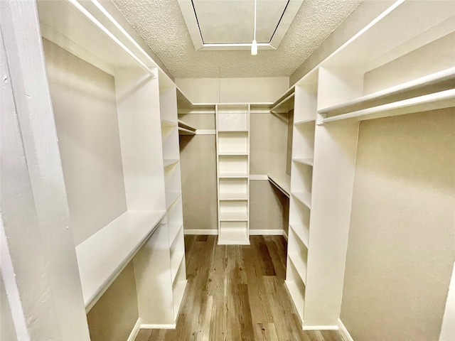 walk in closet with light hardwood / wood-style floors