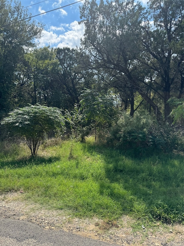 3608 Raintree Trl, Granbury TX, 76048 land for sale