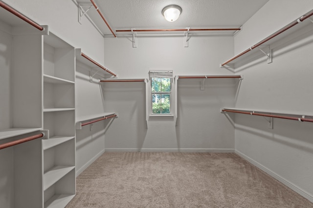 spacious closet with light colored carpet