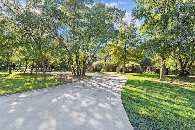 view of home's community featuring a yard