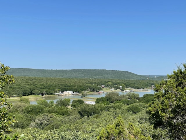 TBD S Lakeview Dr, Gordon TX, 76453 land for sale