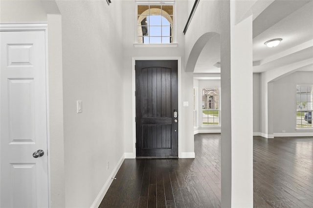 foyer with a healthy amount of sunlight and dark wood-type flooring