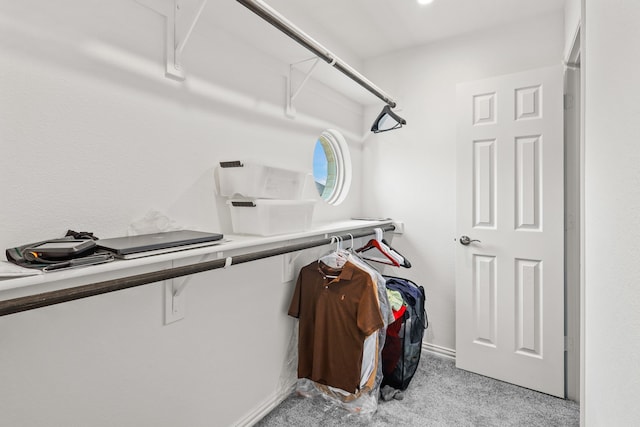 spacious closet with light colored carpet