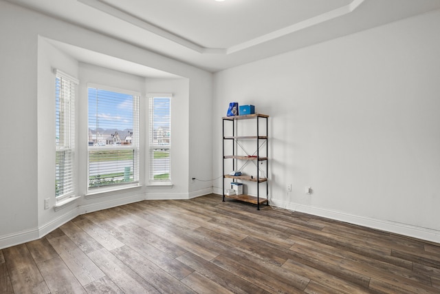 unfurnished room with wood-type flooring and a tray ceiling