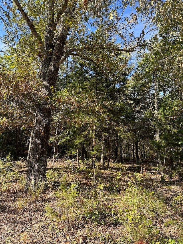 234 Private Road 34615, Sumner TX, 75486 land for sale