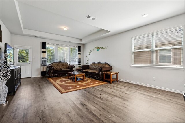 living room with a raised ceiling and hardwood / wood-style floors