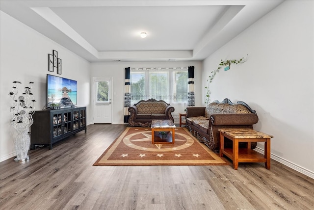 living room featuring wood-type flooring and a tray ceiling